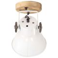 vidaXL Industriálne nástenné / stropné lampy 2 ks biele 20x25 cm E27