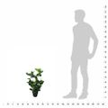 vidaXL Umelá rastlina, hortenzia s kvetináčom 60 cm, biela