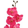 vidaXL Umelá rastlina orchidea Červená 36 x 10 x 30 cm