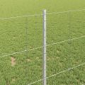 vidaXL Vonkajšie divoké oplotenie s posteľami 100 x 1 m Strieborná