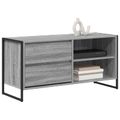 vidaXL TV skrinka 100 x 36 x 49,5 cm Sivý Sonoma Kompozitné drevo