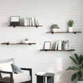 vidaXL Nástenné police 4 ks dymový dub 100x20x1,5 cm kompozitné drevo