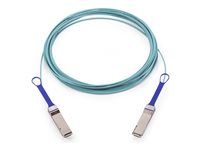 Kabel pro přímé připojení 100GBase - QSFP do QSFP - 10 m - 10 m - optické vlákno - neobsahuje halogen, podpora Ethernet