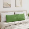 vidaXL Vankúše na pohovku 2 pcs Svetlo zelená 120 x 40 cm