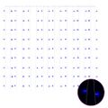 vidaXL LED svetelný rozprávkový záves 3x3 m 300 LED modrý 8 funkcií