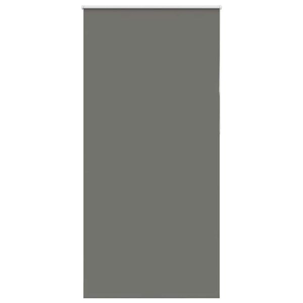 vidaXL Roleta Zatemnenie sivá 95x210 cm Šírka látky 90,7cm Polyester