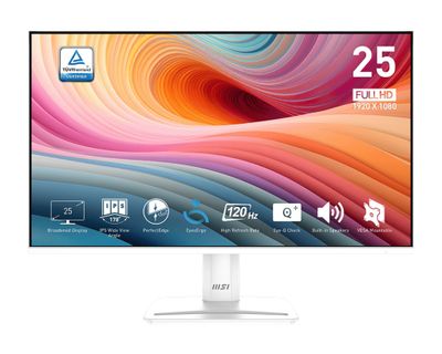 MSI Pro/MP251W E2/24,5''/IPS/FHD/120Hz/1ms/Biela/2R