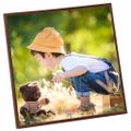 vidaXL Fotorámiky na stenu alebo stôl 3 ks bronzové 50x50 cm MDF