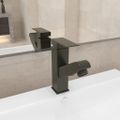 vidaXL Kúpelňová vodovodná batéria s funkciou vyťahovania sivá 157x172 mm