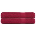 vidaXL Uteráky FROGN 2 ks bordové 100x200 cm 360 g/m²