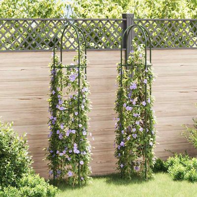 vidaXL Pergola na popínavé rastliny, 2 ks