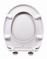 Schütte EASY CLIP bílé | Duroplast, Soft Close