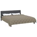 vidaXL Zimný prehoz 220 x 260 cm 450 gsm Mikrovlákno (100% polyester)
