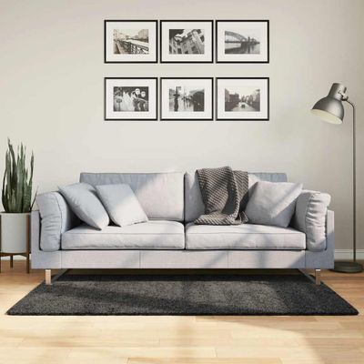 vidaXL Shaggy koberec PAMPLONA, vysoký vlas, moderný antracit 80x150cm
