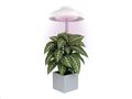 Pozemní svetlo EMOS Z7901 LED GROW 5 W, časovač, biela