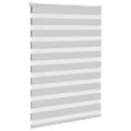 vidaXL Zebra roleta svetlosivá 100x100cm šírka látky 95,9 cm polyester