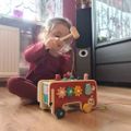 Montessori drevený edukačný slon zatĺkačka Kruzzel 20349 Montessori drevený edukačný slon zatloukačka Kruzzel 20349