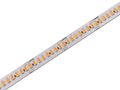 Modee LED pás DC24V 19,2W/m 240LED/m 10mm 4000K (2300 lm/m) B5 (ML-LS24V96W240L/M4000KB5)