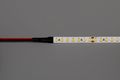 Modee LED pás DC24V 9,6W/m 128LED/m 8mm IP20 4000K (1150 lm/m) B5 (ML-LS24V48W128L/M4000KB5)