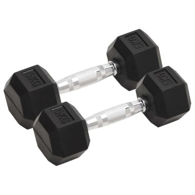 vidaXL Jednoručné činky 2 ks 10 kg celkové liatina