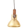 vidaXL Industriálna závesná lampa 25 W mosadzná 19 cm okrúhla E27