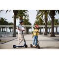 Ninebot by Segway eKickScooter ZING C2 Pro, čierna