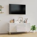 vidaXL TV skrinka lesklá biela 102x44,5x50 cm spracované drevo