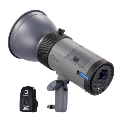 Blesk Neewer Q300