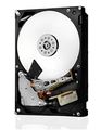 Western Digital Ultrastar® HDD 6 TB (HUS726T6TALE6L4) DC HC310 3,5 palca 26,1 mm 256 MB 7200 RPM SATA 512 E SE (GOLD WD6002FRYZ)