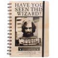 Zápisník Harry Potter - Sirius a Harry 3D
