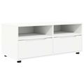 vidaXL TV skrinka 100 x 48 x 43 cm Biela Kompozitné drevo