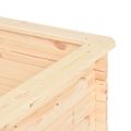 vidaXL Vyvýšený záhradný záhon 300x50x80,5 cm, borovicové drevo 19 mm