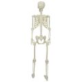 vidaXL Halloweenský Kostiak Biela 155 x 38,5 cm Polypropylén