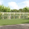 vidaXL Psí kennel 4 ks Strieborná 8 x 2 x 2 m Pozinkovaná oceľ