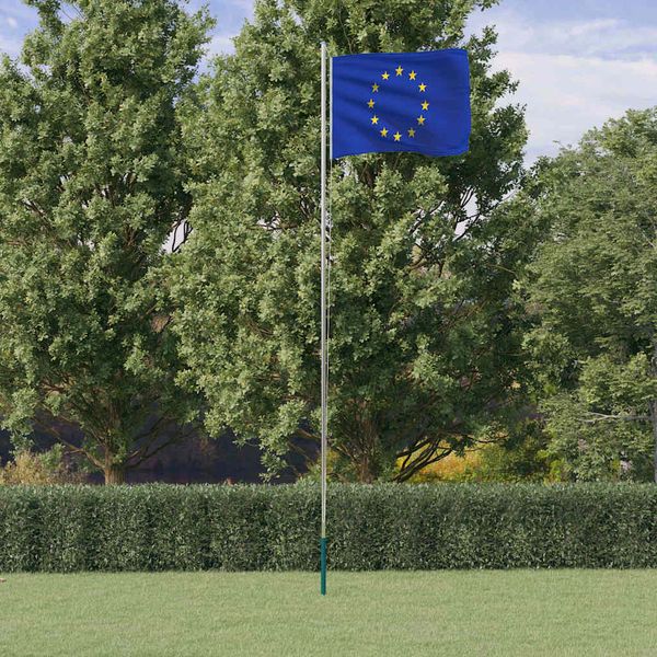 vidaXL Vlajka EÚ a tyč 6,08 m hliník