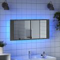 vidaXL LED kúpeľňová zrkadlová skrinka sivá sonoma 100x12x45 cm