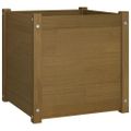 vidaXL Záhradné kvetináče 2 ks medovohnedé 50x50x50cm borovicový masív