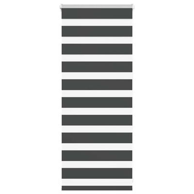 vidaXL Zebra roleta čierna 60x100 cm šírka látky 55,9 cm polyester