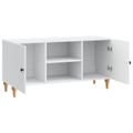 vidaXL TV skrinka Biela 102 x 34,5 x 50 cm Kompozitné drevo