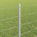 vidaXL Euro oplotenie s pilierom 10 x 0,8 m Pozinkovaná oceľ Sieťovina