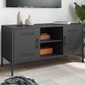 vidaXL TV skrinka čierna 100,5x39x50,5 cm oceľ