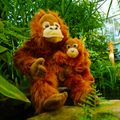 Plyšový orangutan s mláďaťom 28 cm ECO-FRIENDLY