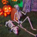 vidaXL Halloween Dekorácia Kostra 2 ks Biela 155 x 38.5 cm