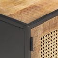 vidaXL TV skrinka 120x30x40 cm surový mangovníkový masív a prírodný rákos
