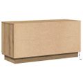 vidaXL TV skrinka 100 x 38 x 49 cm Remeselný dub Kompozitné drevo