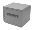 Trezor G21 na odtlačok prsta 380 x 310 x 300 mm