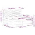 vidaXL Posteľ s pružinovým rámom Svetlosivá 200 x 200 cm Zamat