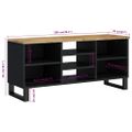 vidaXL TV skrinka 100x33x46 cm masívny mangovník a spracované drevo