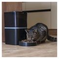 GoSmart dávkovač krmiva Pet Care s kamerou, 6 l, čierny, Wi-Fi