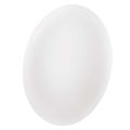 LED prisadené svietidlo FIONI, kruhové biele 24W, IP44, neutrálna biela